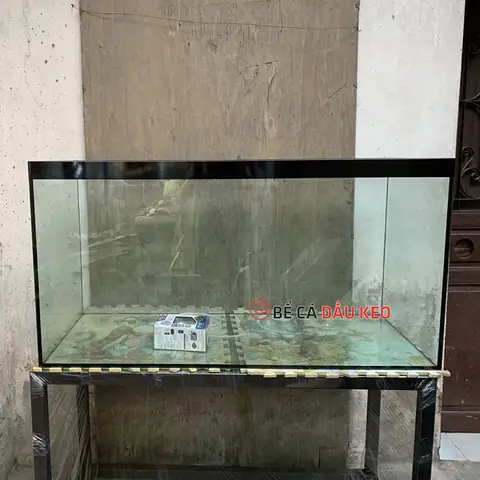Bể Cá Có Giằng