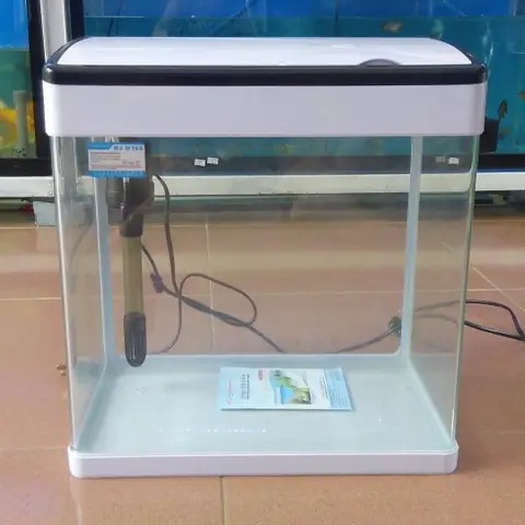 Bể Cá Có Nắp