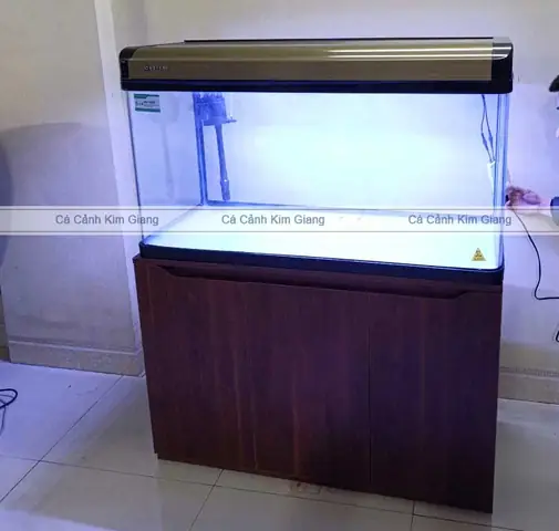 Bể Cá Đúc 1m Bể Cá Đúc 1m