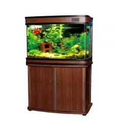 Bể Cá Đúc 80cm