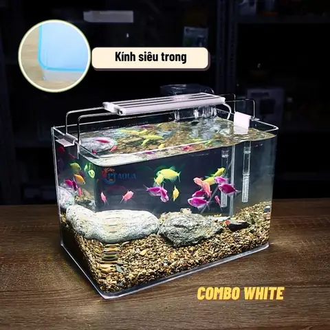 Bể Cá Đúc Siêu Trong Bể Cá Đúc Siêu Trong