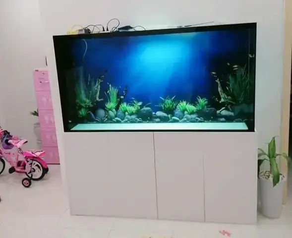 Bể Cá Hút Mặt Hút Đáy Toàn Dải