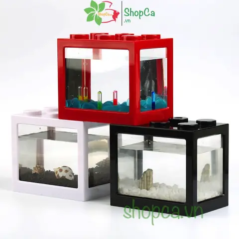 Bể Cá Lắp Ghép