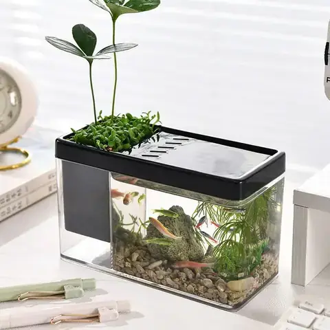 Bể Cá Mini Để Bàn 3 In 1
