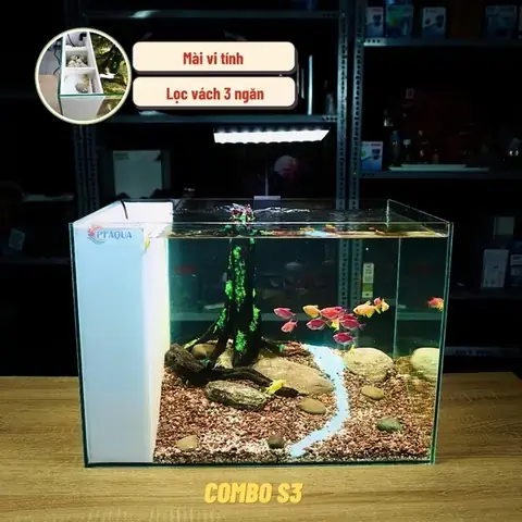 Bể Cá Mini Full Phụ Kiện