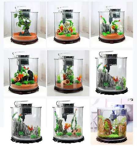 Bể Cá Mini Hình Trụ