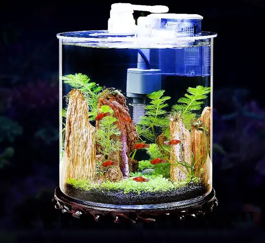 Bể Cá Mini Tròn Để Bàn Bể Cá Mini Tròn Để Bàn