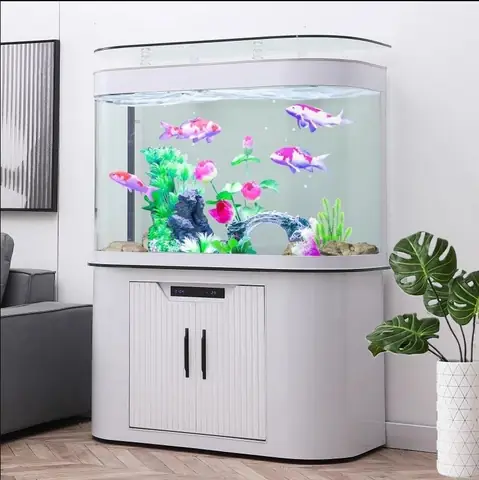 Bể Cá Nhập Khẩu