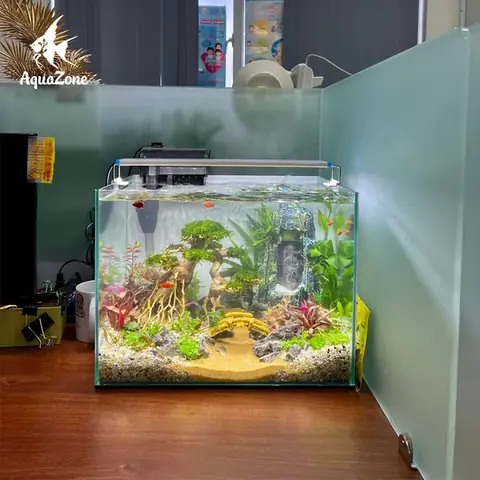 Bể Cá Nhỏ Đẹp Bể Cá Nhỏ Đẹp