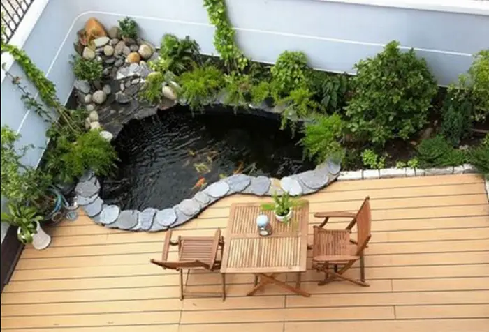 Bể Cá Nhỏ Ngoài Trời