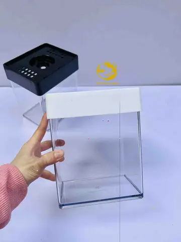 Bể Cá Nhựa Acrylic