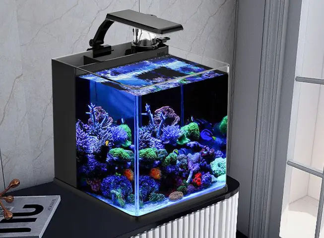Bể Cá Nước Mặn Mini