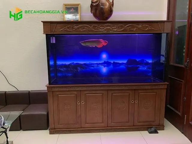 Bể Cá Rồng Công Nghệ Mới