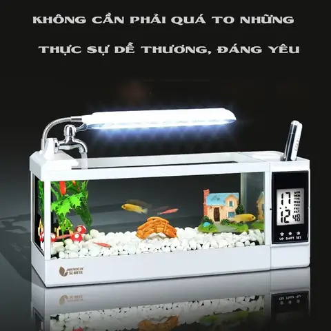 Bể Cá Siêu Mini Bể Cá Siêu Mini