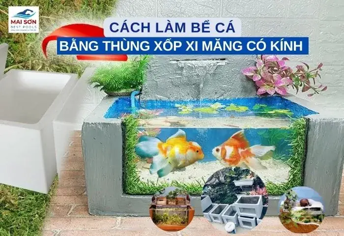 Bể Cá Thùng Xốp Xi Măng