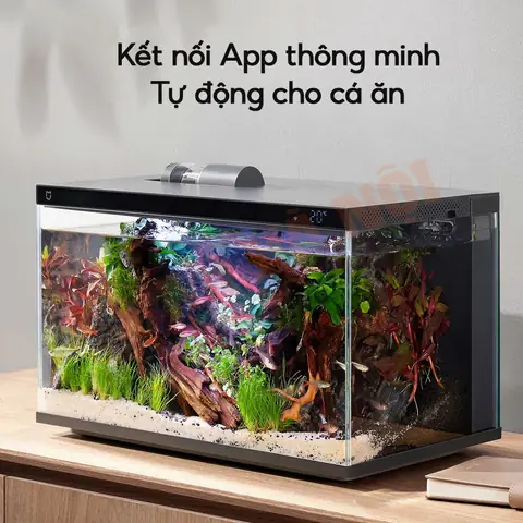 Bể Cá Thủy Sinh Mini Xiaomi