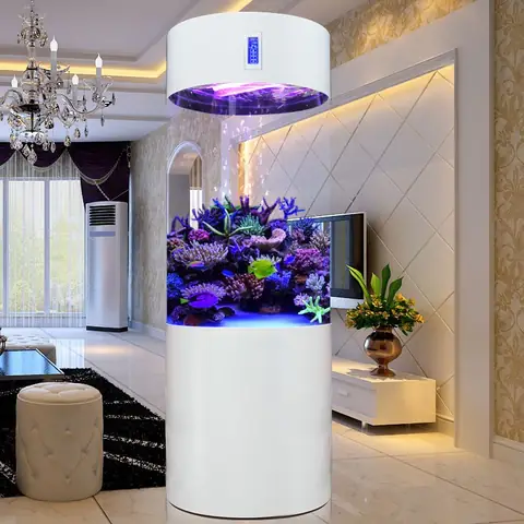 Bể Cá Trụ Tròn Lớn
