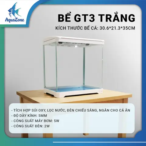 Bể Cá Tuần Hoàn Bể Cá Tuần Hoàn