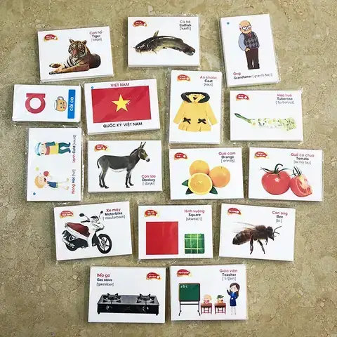 Bé Học Các Loài Cá