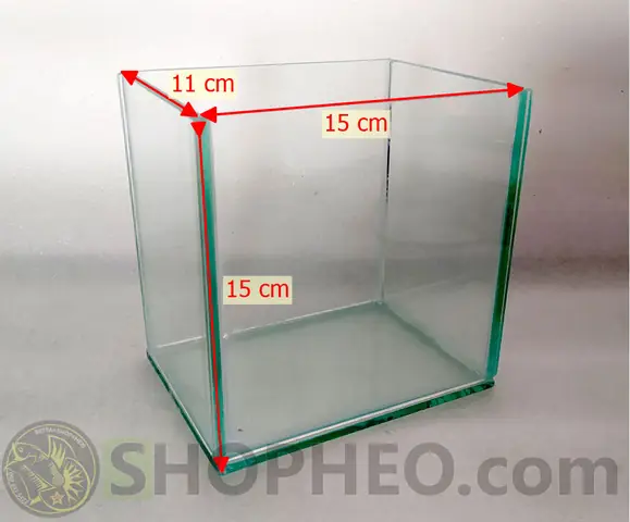 Bể Kính Nuôi Cá Betta Bể Kính Nuôi Cá Betta
