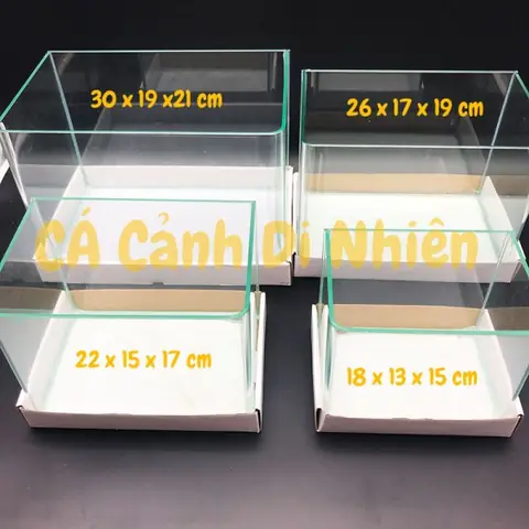 Bể Kính Nuôi Cá Mini Bể Kính Nuôi Cá Mini