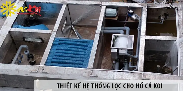Bể Lắng Hồ Cá Koi Bể Lắng Hồ Cá Koi