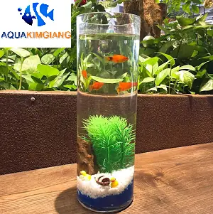 Bình Nuôi Cá Cảnh