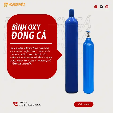 Bình Oxy Đóng Cá