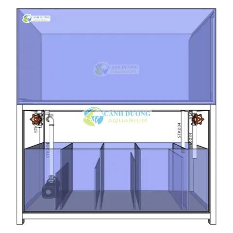Bộ Lọc Hồ Cá Rồng