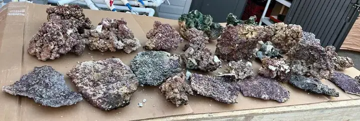 Bỏ San Hô Vào Hồ Cá