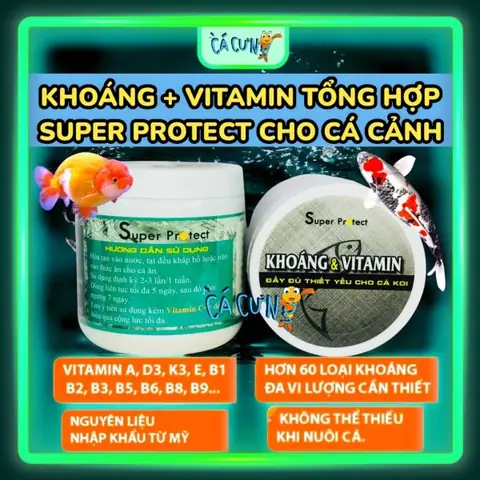 Bổ Sung Vitamin C Cho Cá Cảnh