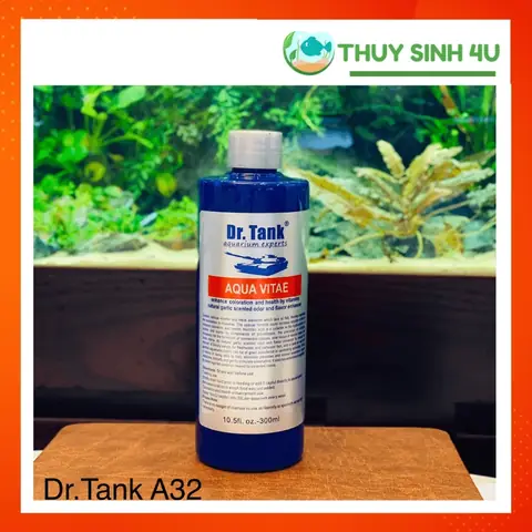 Bổ Sung Vitamin Cho Cá Cảnh Bổ Sung Vitamin Cho Cá Cảnh
