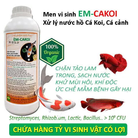 Bột Vi Sinh Hồ Cá