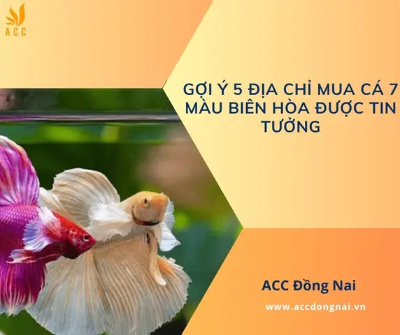 Cá 7 Màu Biên Hòa