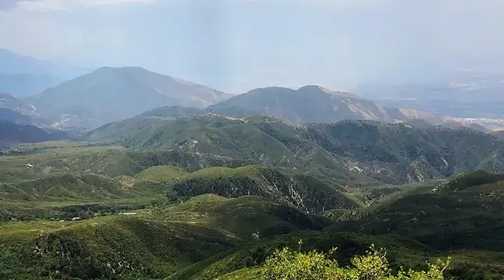 Cá 7 Màu Bình Dương Cá 7 Màu Bình Dương