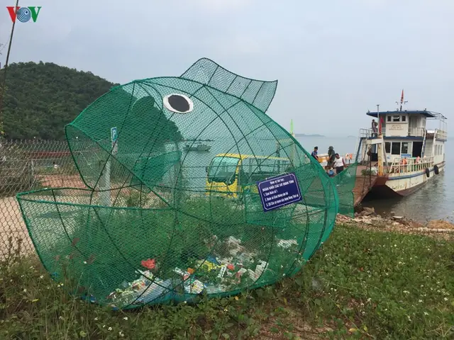 Cá Ăn Rác Thải Nhựa Cá Ăn Rác Thải Nhựa