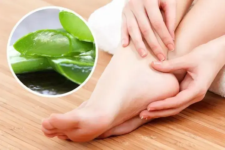 Cá Ba Đuôi Bị Tróc Vẩy Cá Ba Đuôi Bị Tróc Vẩy