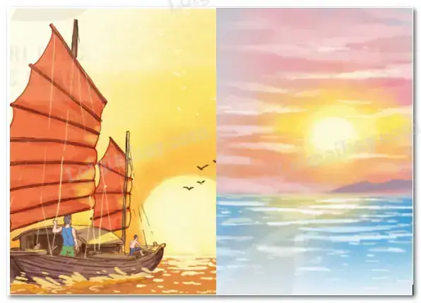 Cá Bạc Biển Đông Lặng Cá Bạc Biển Đông Lặng