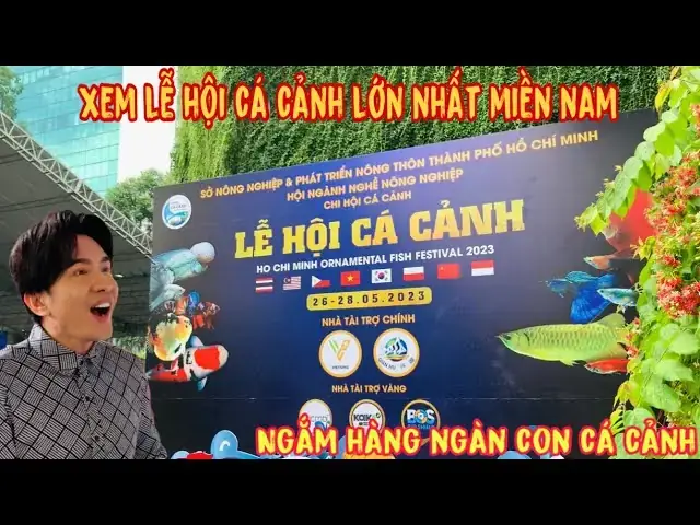 Cá Bào Là Gì Cá Bào Là Gì