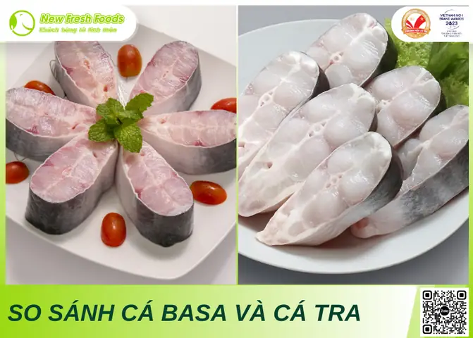 Cá Basa Cá Tra