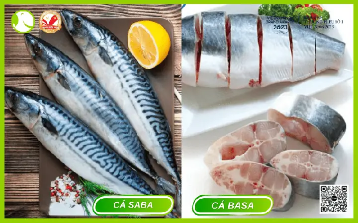 Cá Basa Và Cá Saba