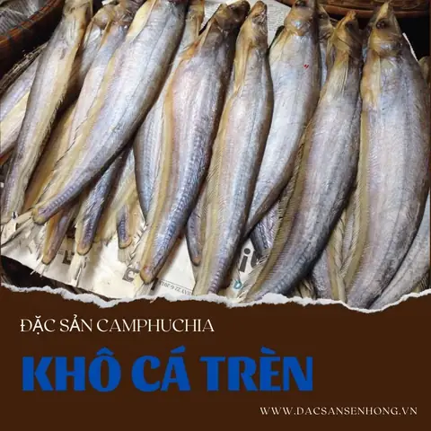 Cá Biển Hồ Campuchia Cá Biển Hồ Campuchia