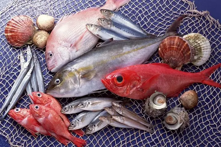 Cá Biển Phổ Biến