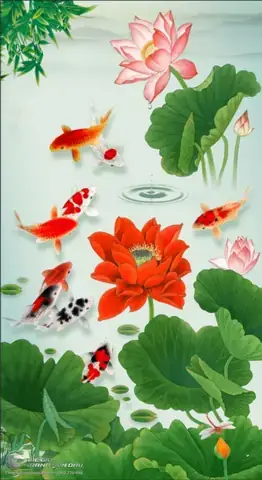 Cá Bơi Trong Hồ Cá Bơi Trong Hồ