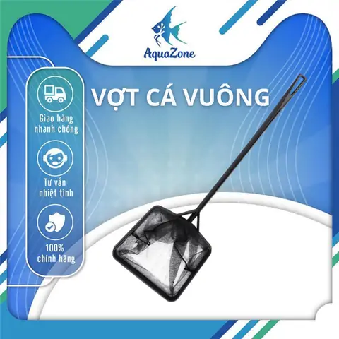 Cá Cảnh Cao Cấp Cá Cảnh Cao Cấp