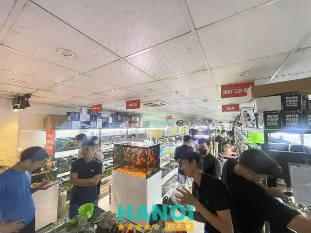Cá Cảnh Giá Rẻ Hà Nội Cá Cảnh Giá Rẻ Hà Nội