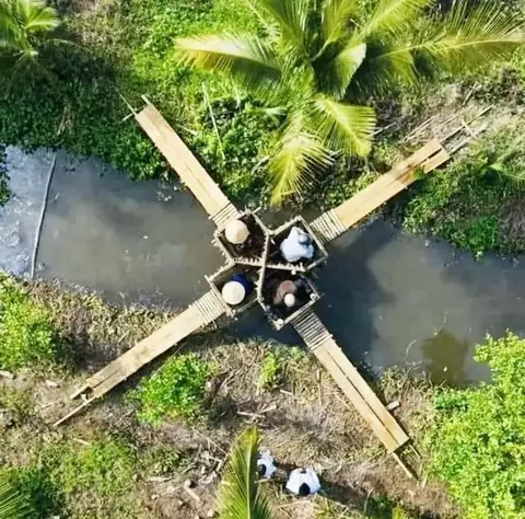 Cá Cảnh Lê Tuấn Cá Cảnh Lê Tuấn