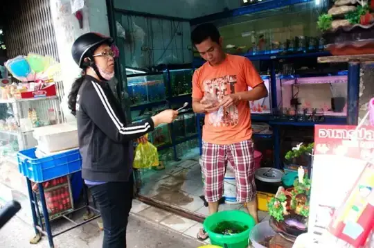 Cá Cảnh Lý Chính Thắng Cá Cảnh Lý Chính Thắng