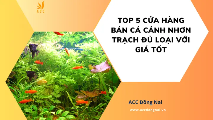 Cá Cảnh Nhơn Trạch