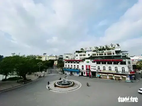 Cá Cảnh Quang Trung Cá Cảnh Quang Trung